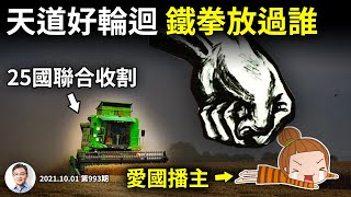 鐵拳好輪迴!愛國生意大翻車;燃煤之急!25國收割北京,最簡單的出路卻是最難的(文昭談古論今20211001第993期)