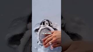 Why Is Touching a Penguin Illegal?