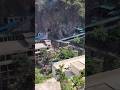 Shivkhori में Jal Shakti विभाग के Water Tank में पाए गए मरे हुए बंदर