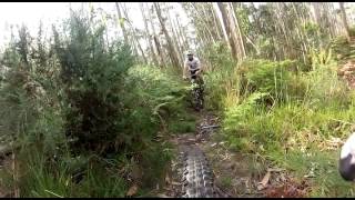 Btt pico da Lebre.