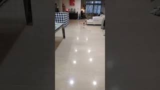Live highlight