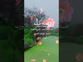 اغنية صلالة جديدة 2020 ظفار المحبة كلمات عيسى جعبوب وغناء سعيد كشوب نجوم صلالة