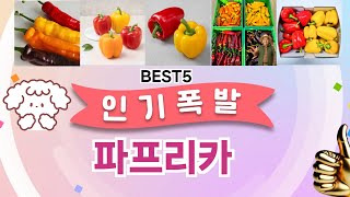 파프리카 이걸 안보면 후회 합니다! 5개의 가성비 갑 아이템 BEST공개