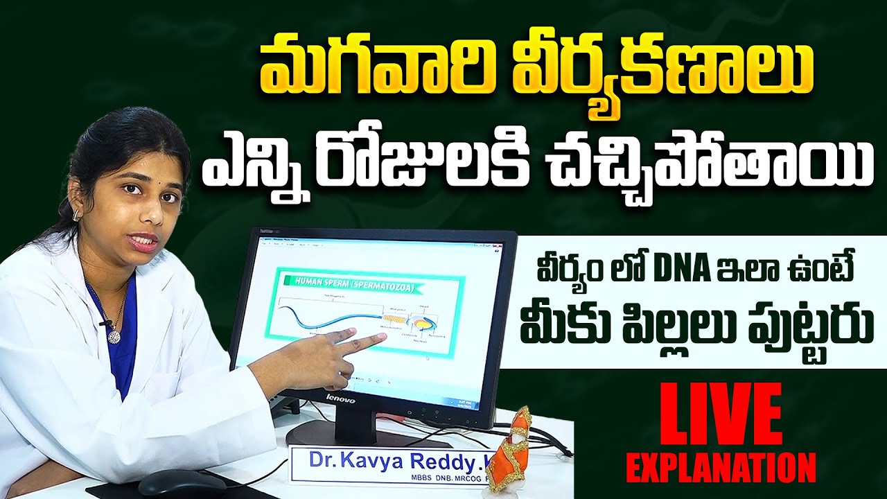 స్పెర్మ్ జీవితకాలం : Lifespan Of A Sperm | How Long Do Sperms Live | How Long Do Sperm Survive