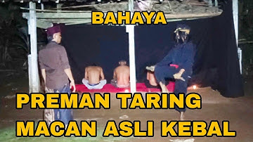DANG RAJO BUBARKAN RITUAL PREMAN TARING MACAN | dang rajo terbaru