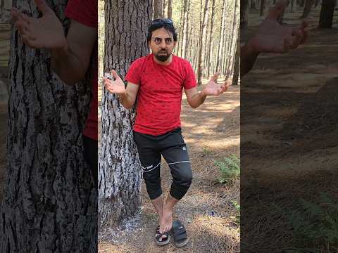 انا زعيم الغابه بالنهايه طلع خرطي قدام الغوريلا أبو يزن العربي 