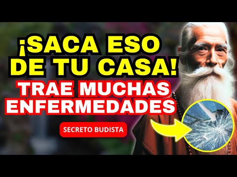13 COSAS QUE
