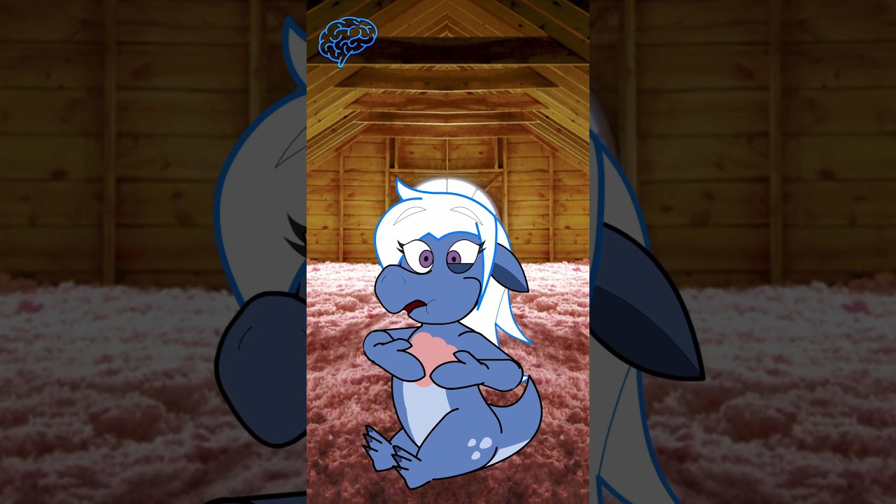 Forbidden Cotton Candy | It's Barah! #fyp #memes #funny #dragon