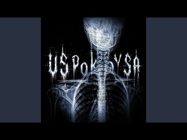 USPOK0YSA (TIKTOK PART + SLOWED)