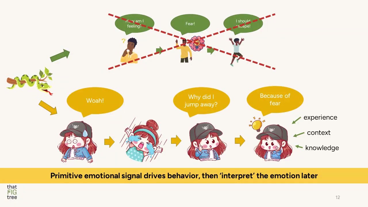 Emotions are constructed: need to deconstruct them! Emotions in consumer decisions, by That Fig Tree
