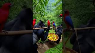 I can't believe what I have seen