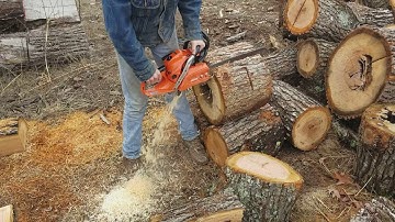 Echo cs501p awol woods ported 18" .325