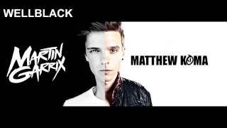 Martin Garrix - Proxy (WELLBLACK 'Sparks' Edit)