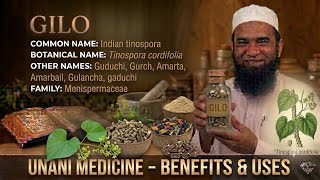 Gilo ||unani medicine|| mufradat || bums || advia ||notes in description screenshot 1