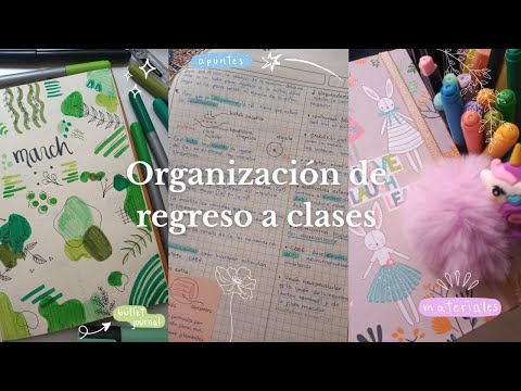 Organización de regreso a clases 📚🍃💚