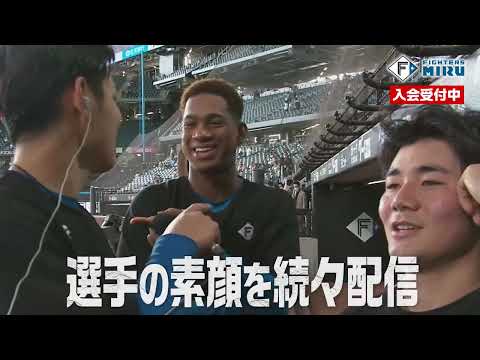 【選手の素顔続々】ファイターズMIRU