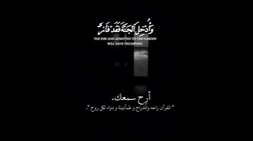 شيخ ياسر الدوسري مع راحة نفسية القران الكريم #القرآن_الكريم #ياسر_الدوسري #راحة_نفسية 🍀🍀🍀🌹🌹🌹🤍