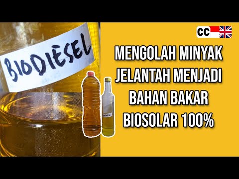 Video: 4 Cara Hidup Tanpa Kereta