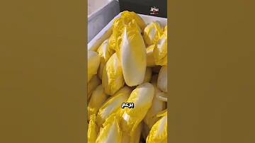الخضار الوحيد الذي ينمو من دون ضوء الشمس 