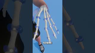 Por Qué Crujen Los Dedos?