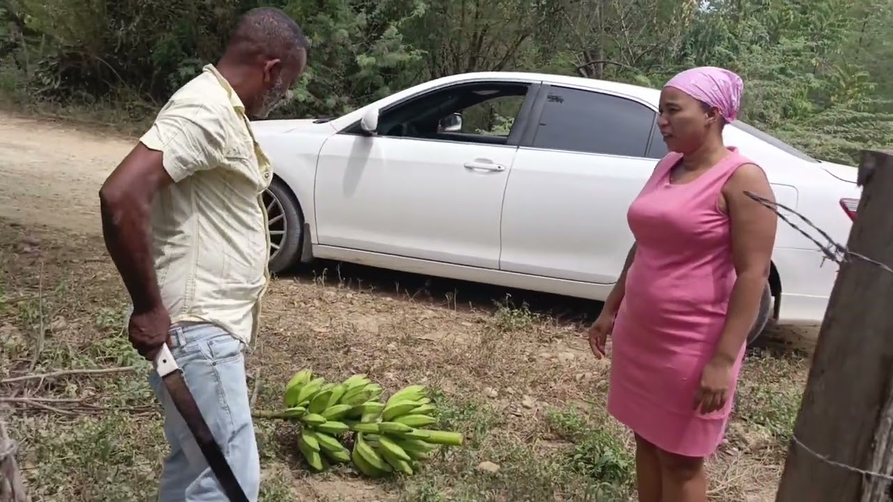 Llevándole rulos y plátanos a la suegra 👵🏻