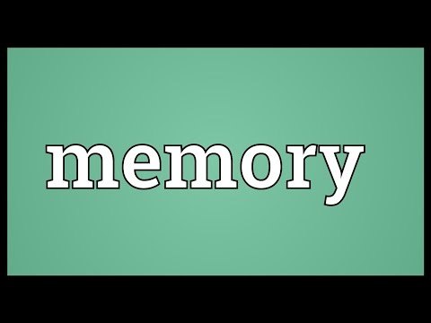 Memory Meaning