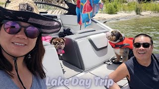 Lake Day Trip w/ Our Bulldogs (Lake Perris California)