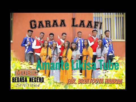 Garaa Laafi Far Biqiltoota Haaraa