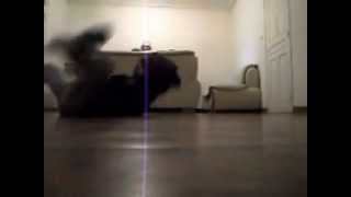 Bboy Aylan Training Nutcracker Mill !