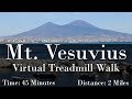 Mt. Vesuvius Walking Tour