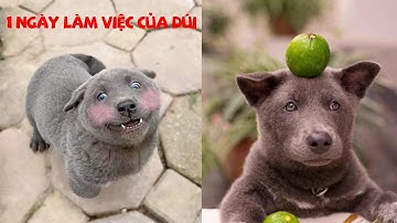 Idol Dúi - Nguyễn Văn Dúi - 1 Ngày Làm Việc Của Dúi