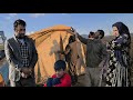 Mirzas sacrifice to save alis family by offering a tent and building a house in the mountains