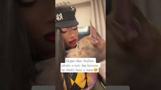Megan thee Stallion adopts a new dog #megantheestallion #dogadoption #newpet #newdog #saveanimals