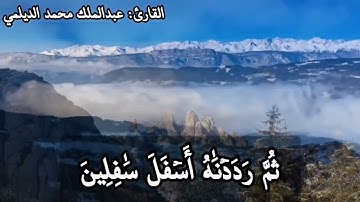 "تلاوة مؤثرة" من سورة التين للقارئ : @abdalmalik-aldaylami عبدالملك محمد عبدالله الديلمي .