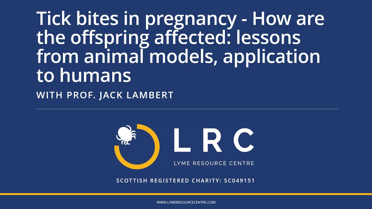 Tick bites in pregnancy - How are offspring affected: lessons from animals, application to humans