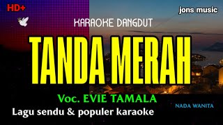 TANDA MERAH ITU || EVYTAMALA || KARAOKE DANGDUT