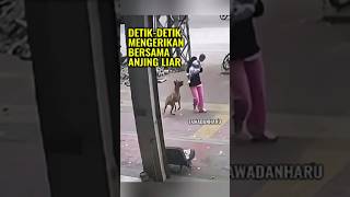 Berjuang Melindungi Anaknya dari Gigitan Anjing