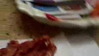 Bacon