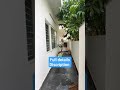 200yards G+1 villa for sale miyapur #property #realestate #villas #gatedcommunity