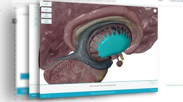 Visible Body Courseware | Rediscover Your Love for Teaching!