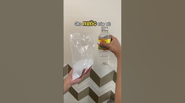 Vòi hoa sen bám cặn lâu ngày, phải làm sao #ambvietnam #viralvideo #meovat