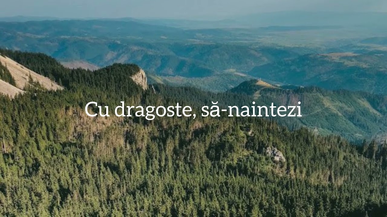 Onisim Grab - Să ții făclia - Negativ 2024