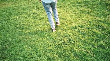 Blown flow /Enemy ft zack night