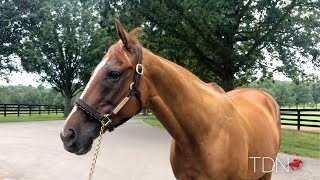 Dayatthespa at Stonestreet Farm