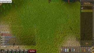 Runescape note easter eggs
