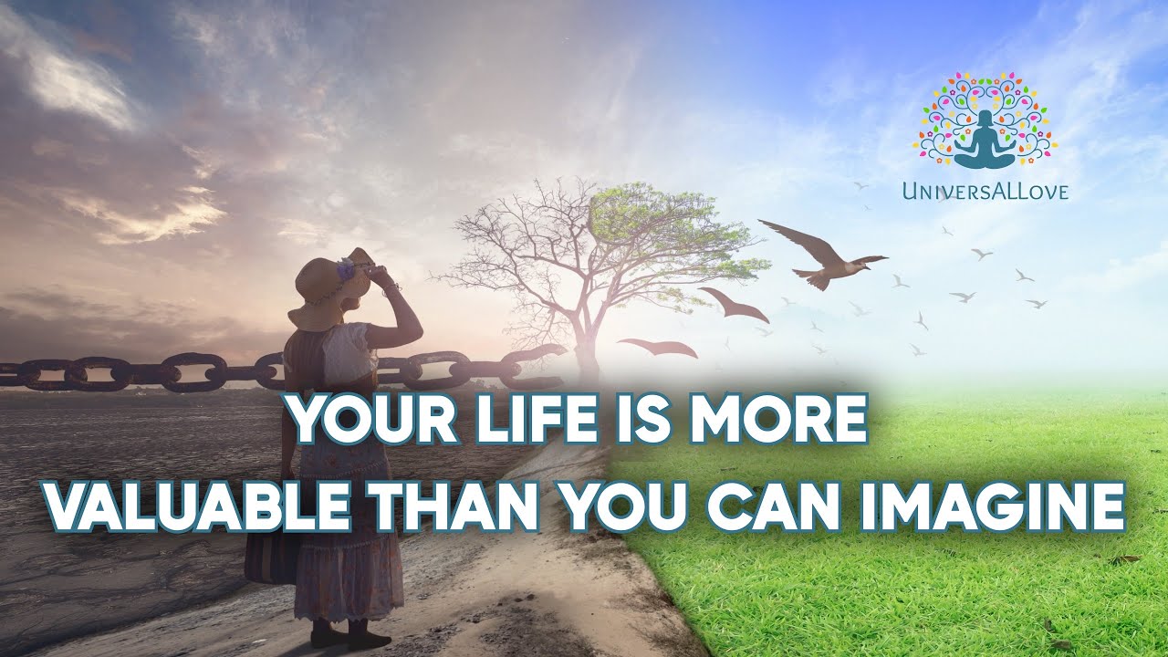 The Journey of Life Finding Meaning, Happiness, and Wisdom YouTube