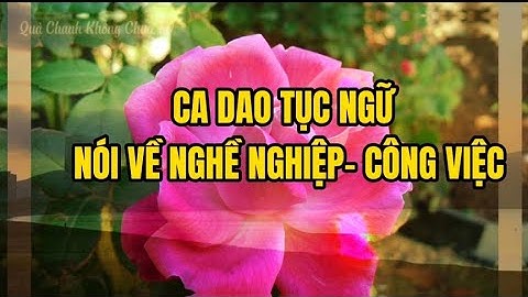 Các câu ca dao về thanh lịch văn minh năm 2024