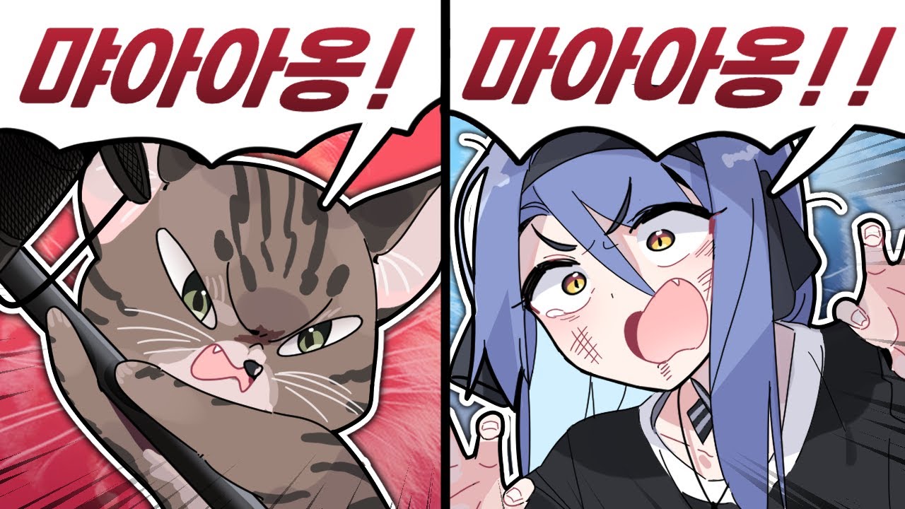 고양이는 이길 수 없다..