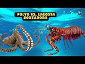 Duelo Subaquático: Polvo vs. Lagosta Boxeadora