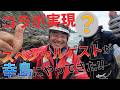 クエ【アラ】 宮崎県　幸島　遂に実現！スペシャルゲストとコラボ👍